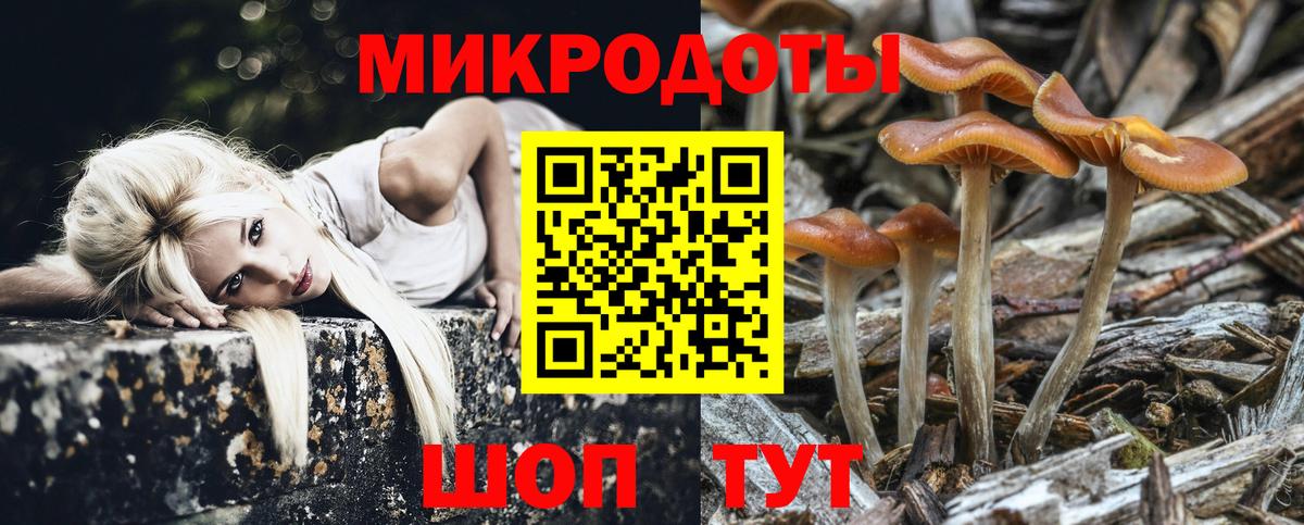 Галлюциногенные грибы Cubensis Междуреченск